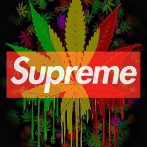 Meet your Posher, Lucas